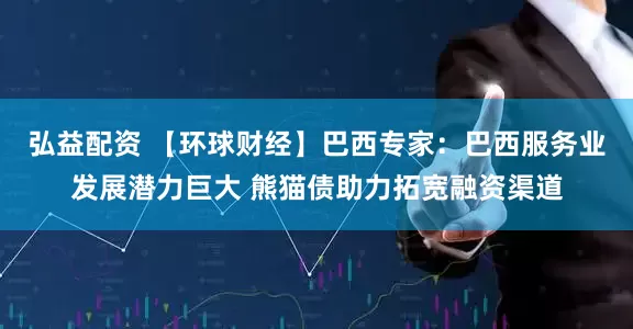 弘益配资 【环球财经】巴西专家：巴西服务业发展潜力巨大 熊猫债助力拓宽融资渠道