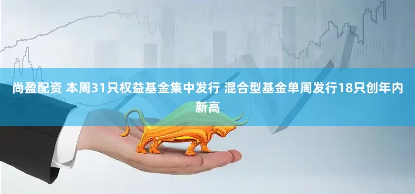 尚盈配资 本周31只权益基金集中发行 混合型基金单周发行18只创年内新高