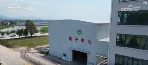 中金财富 早稻收获“加速跑”：单产提升行动显成效 丰收基础稳_大皖新闻 | 安徽网