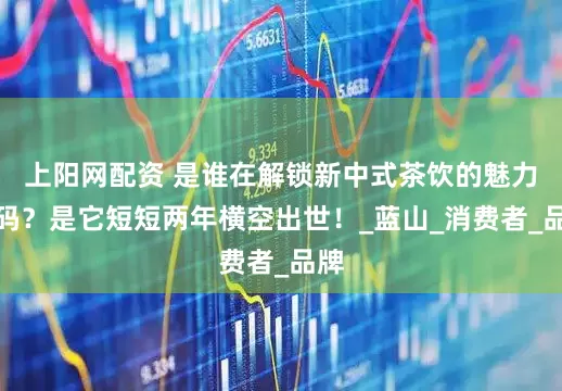 上阳网配资 是谁在解锁新中式茶饮的魅力密码？是它短短两年横空出世！_蓝山_消费者_品牌