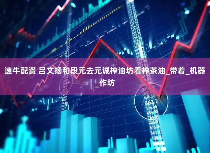 速牛配资 吕文扬和段元去元诚榨油坊看榨茶油_带着_机器_作坊