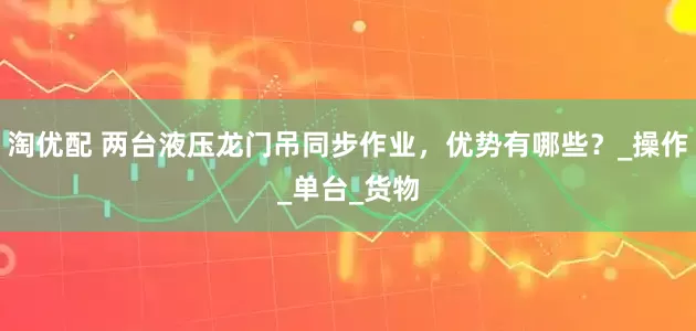 淘优配 两台液压龙门吊同步作业，优势有哪些？_操作_单台_货物