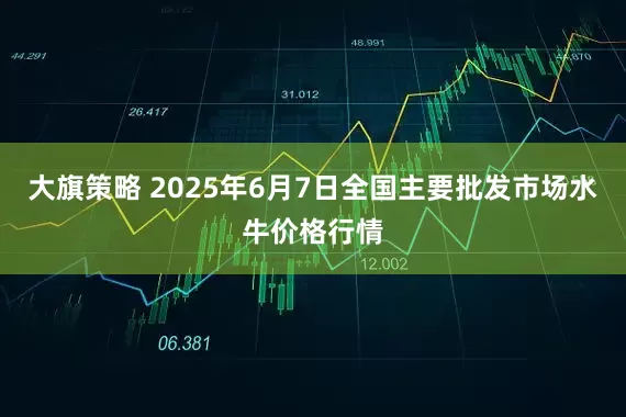 大旗策略 2025年6月7日全国主要批发市场水牛价格行情