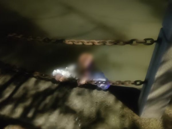 福盈策略 险！男子酒后失足落水，幸遇他们及时出手