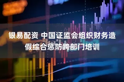 银易配资 中国证监会组织财务造假综合惩防跨部门培训